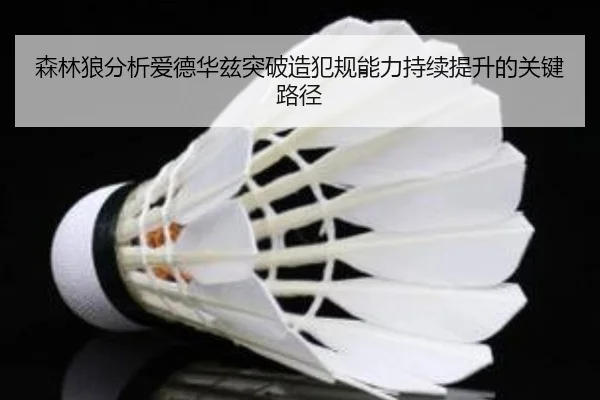 森林狼分析爱德华兹突破造犯规能力持续提升的关键路径