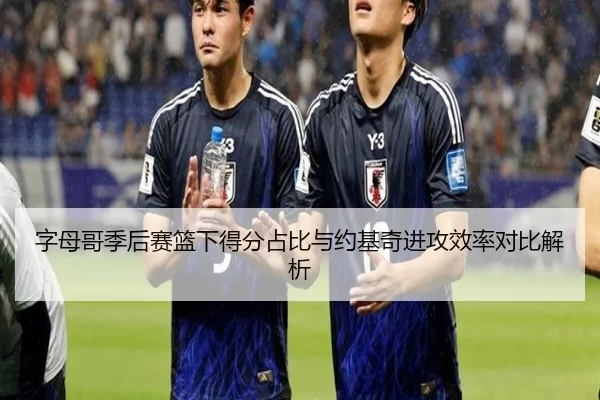字母哥季后赛篮下得分占比与约基奇进攻效率对比解析